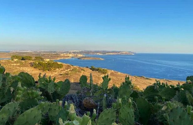 Gozo Private Discovery Tour - Culture, Nature, and Local Flavors