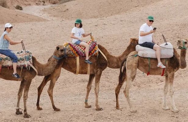 Agafay Desert Camel Ride and Quad Biking with Dinner and Show