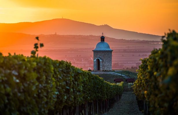 Moravian E-Bike & Wine Private Day Trip From Brno