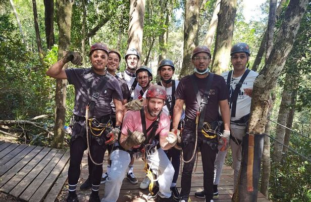 Treetop Canopy Tour and Jeffreys Bay Highlights Tour 
