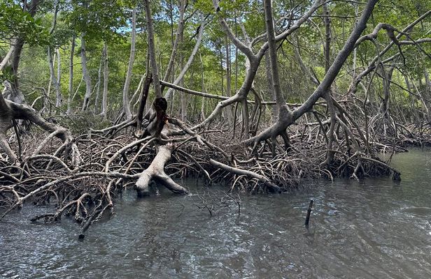 Haitian National Park and fell up