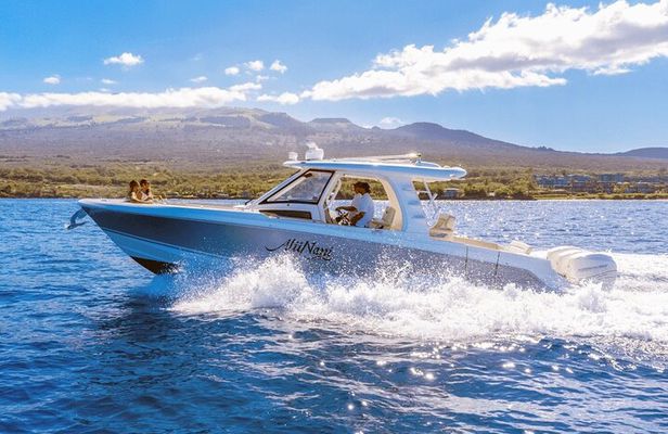 Maui Luxury Boston Whaler Private Charter for up to 6 Passengers