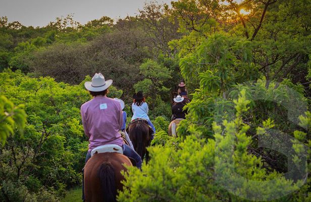 Horseback Riding in the Guanajuato Hills