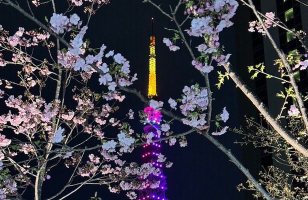 Private Tokyo Night Tour