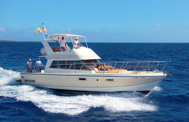 Discover whales in Tenerife: yacht tour with bath and lunch
