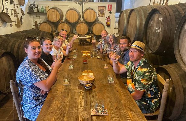 Sun and Wine Route - Small group, wine tasting and tapas included