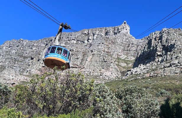 Cape Town Private Tour by Cable Car and Car