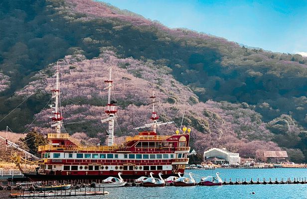 Hakone Full-Day Private Tour Hotel Pickup and Highlights