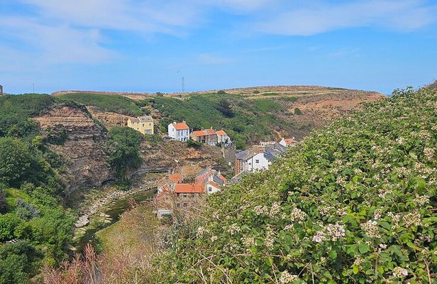 North York Moor day trip incl Whitby, Staithes & Robin Hoods Bay