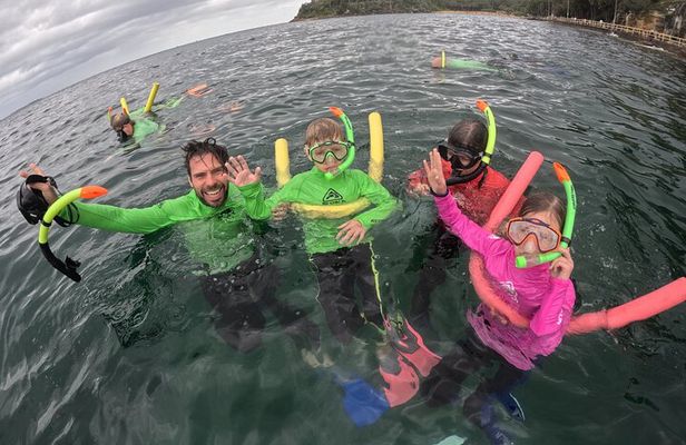 Sydney Family Snorkelling Eco Tour