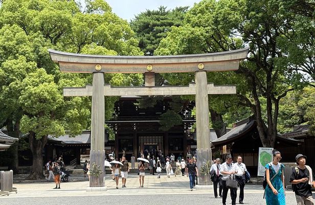 Tokyo Private Sightseeing Tour by Car with Local Guide