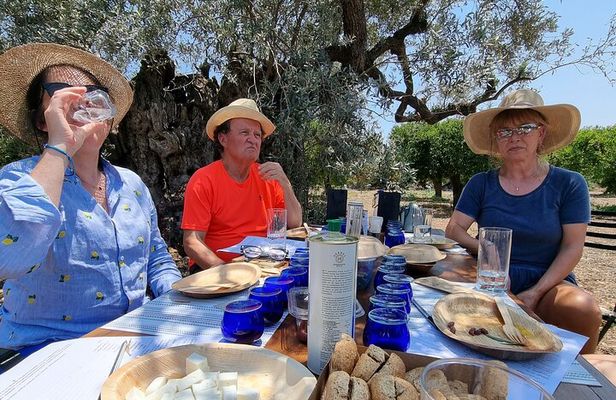 SYSTASIS Olive Oil Tasting Experience in Ermioni Greece