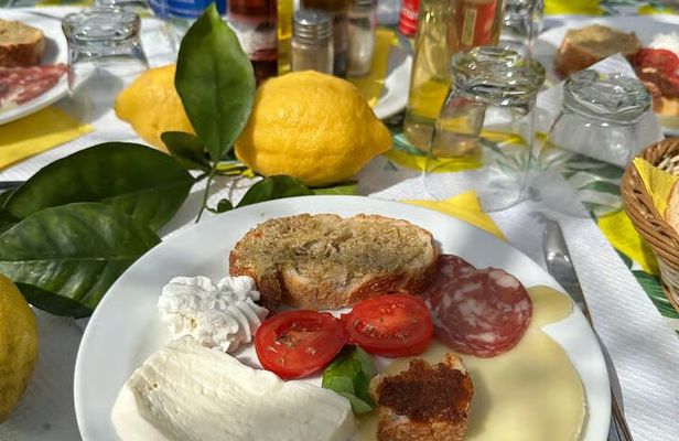 Tasting Limoncello, Oil and Typical Products in Farmhouse