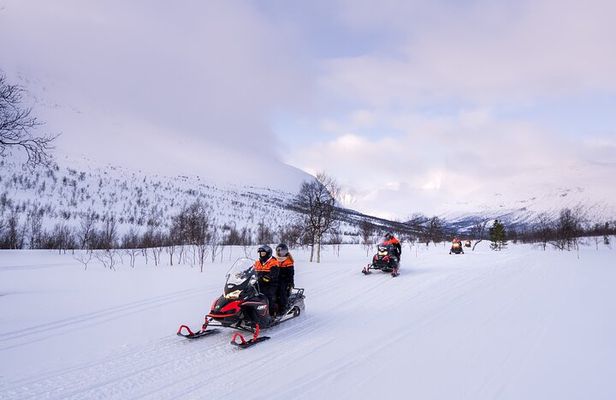 Midday Snowmobiling in Camp Tamok with Guide