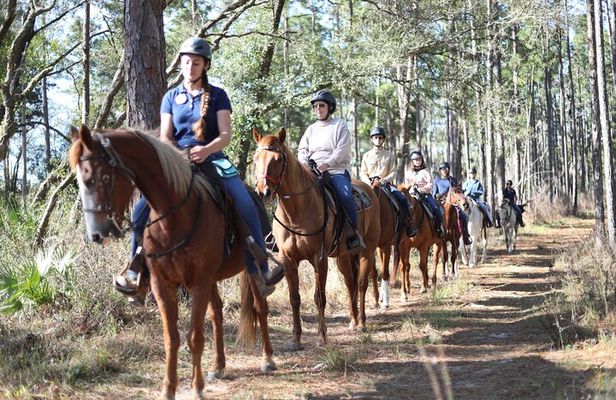 Guided Two Hour Horseback Trail Ride in Central Florida