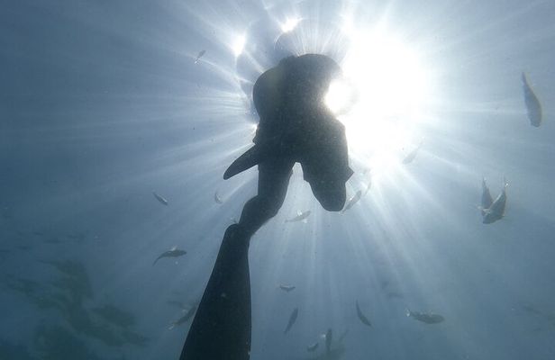 Hidden Beach Snorkeling Adventure