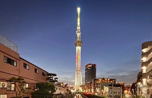 Private Tokyo Night Tour