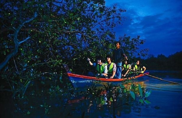 Enchanting Evenings: Fireflies & Blue Tears Tour with Dinner