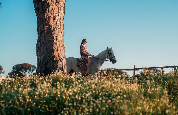 Horseback Riding Experience in Castel Fusano near Rome