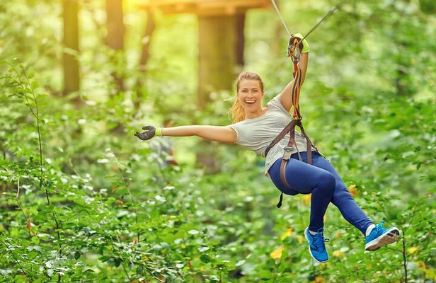 High Ropes and Adventure Tree Top Experience