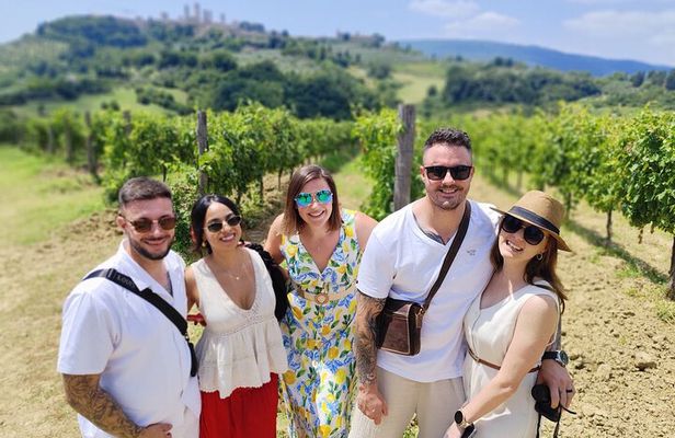 Tuscany Wine Tour: 2 Wineries & San Gimignano from Rome