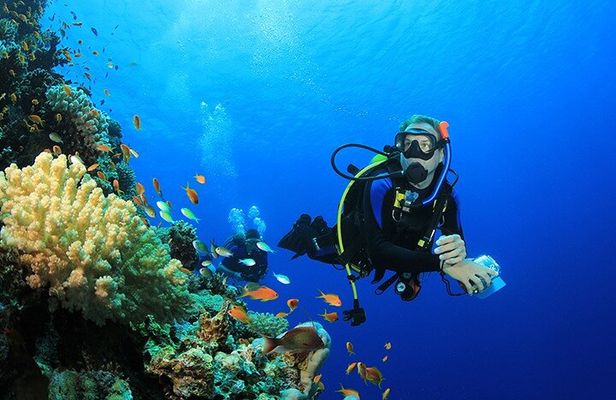 Hula Hula Island Or Orange Bay Island With Diving Experince