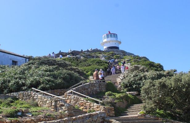 Table Mountain and Cape of Good Hope with Penguins 