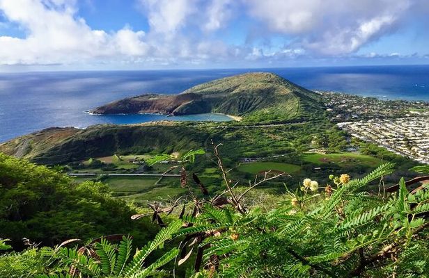 Koko Head Crater Hike and Halona Beach Cove Relaxation
