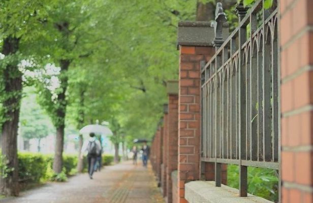 Explore Japan’s Oldest University by a Walking Tour