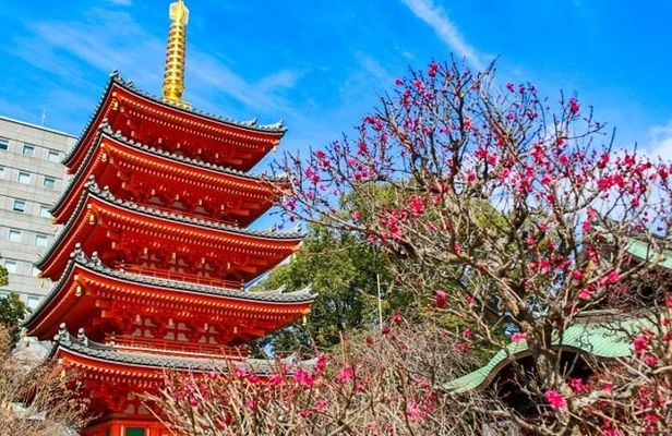 Experience Japan Spirit in Hakata Temple Town