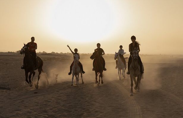 Dubai Desert Horseback Safari with Photoshoot