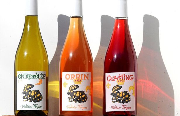 EN against rare grape varieties in the Cher Valley
