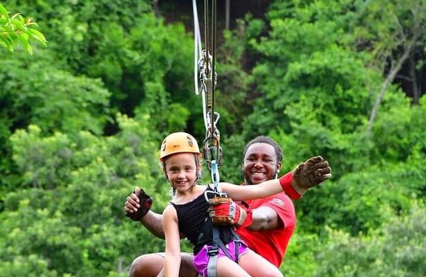 Zip Line Eco Park Sloths Monkeys and Beach Break Private Tour