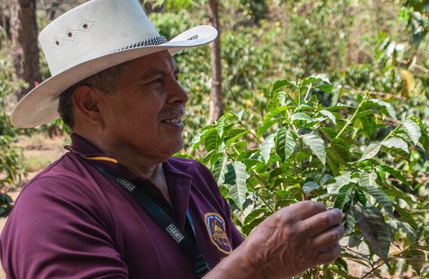Coffee Tour in Antigua Guatemala