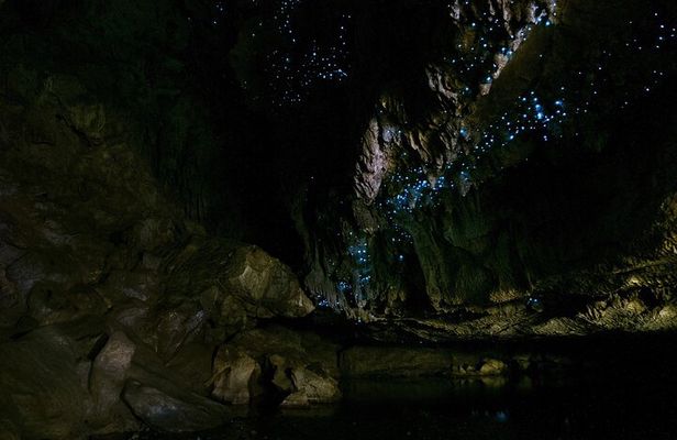 Kawiti Family Glowworm Caves Guided Tour in Bay of Islands