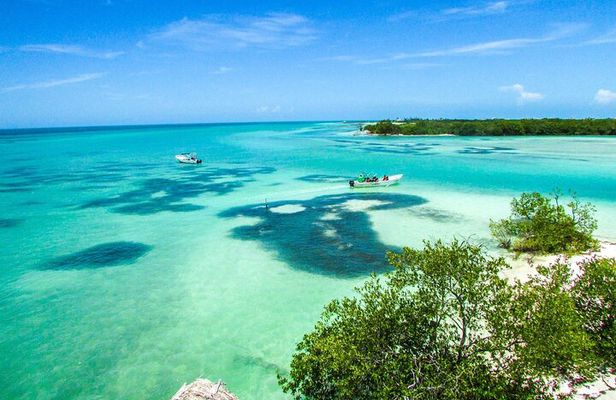 Holbox Island Tour with Pasion Island and Punta Mosquito
