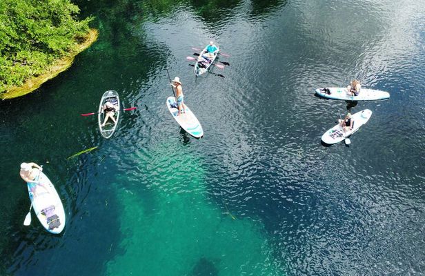 Rainbow Springs Clear Kayak and Paddleboard Rentals