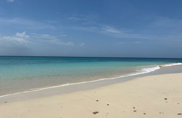 Perfect Island + Amazing snorkeling with turtles near Panama City