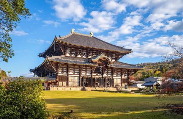 Kiyomizu dera Fushimi Inari and Nara Park Day Tour