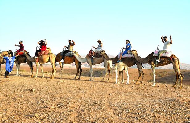Marrakech: Agafay Desert Sunset & Camel Rides and Dinner Show
