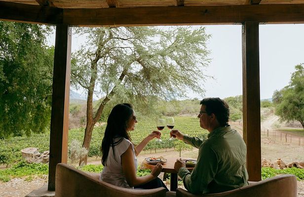 Fires and Vineyards Lunch and Walk in the Vineyards