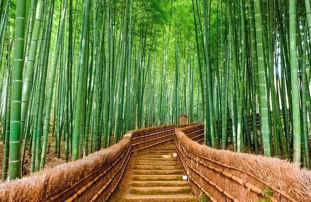 Kyoto Customized Private Car Tour