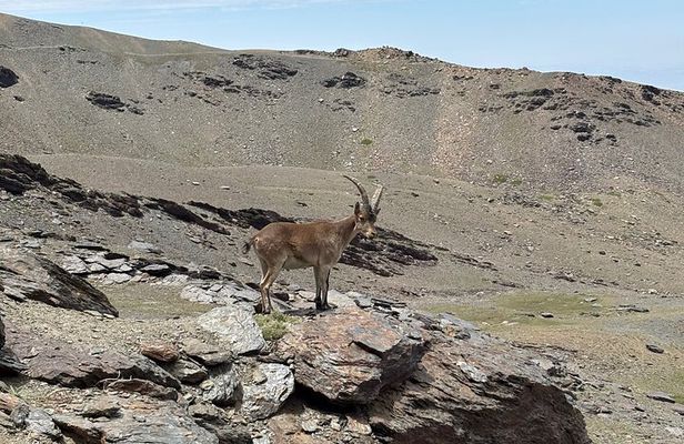 Sierra Nevada Hiking Adventure – Small group Up to 3,000 Meters