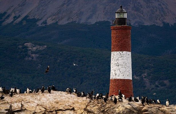 Beagle Channel & exclusive experience at the end of the world