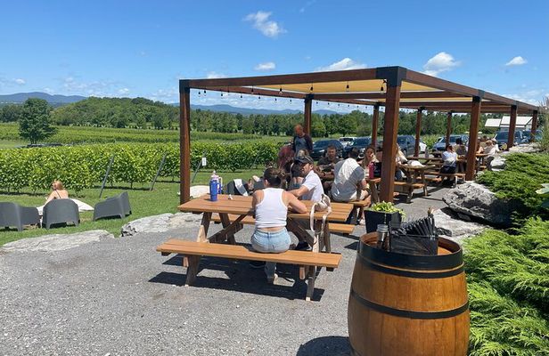 Experience île d'Orléans and the falls with a local guide