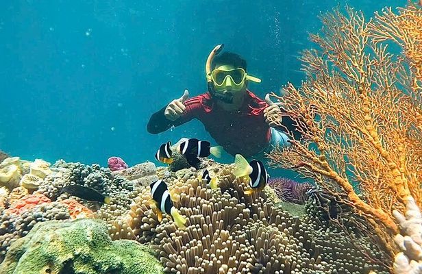 Nha Trang Mun Island Snorkeling, Fishing and Mini Beach Tour