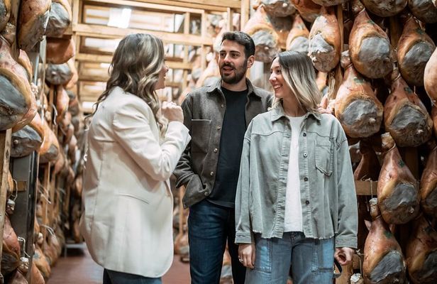 Parmigiano Reggiano Parma Ham and Castle Private Tour & Tasting 