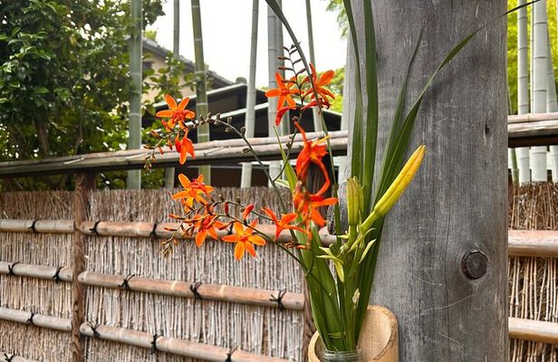 Tokyo Gardens E-Bike Tour: Discover Hidden Beauty