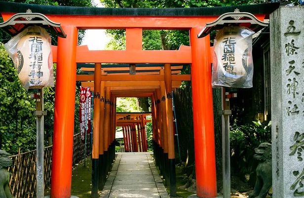 Tokyo Old Town Discovery Walk. Lunch Included