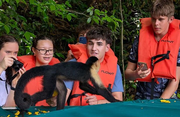 Panama Canal Private Boat Tour to Monkey Islands